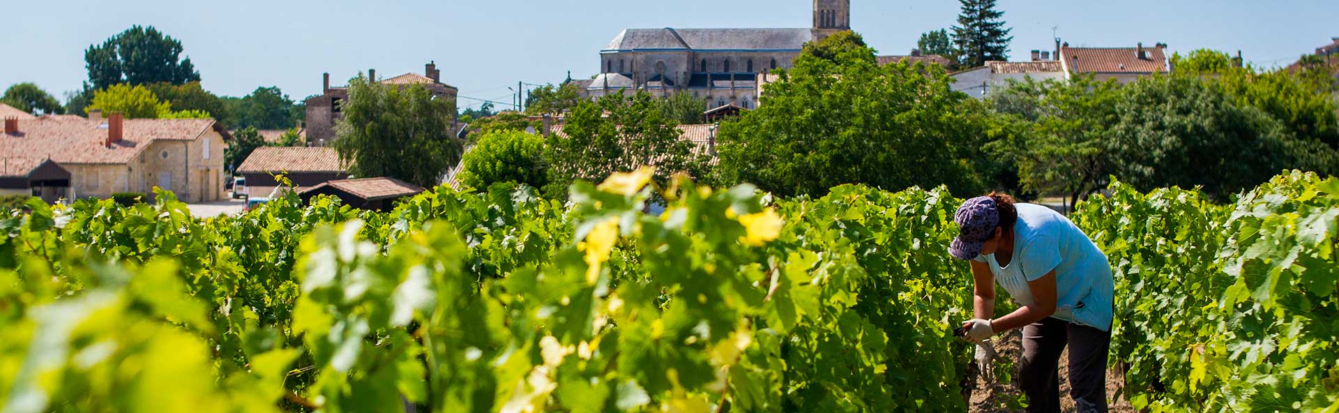 Château Clos du Marquis