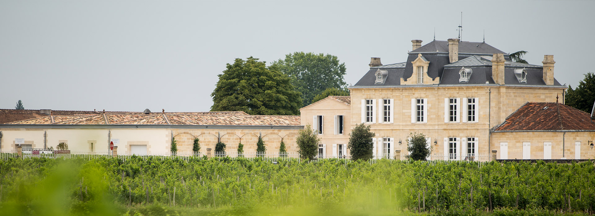 Domaines Delon | Château Nénin Pomerol | Terroir | Château Leoville Las  Cases Saint Julien, Château Potensac médoc | Grands Vins Bordeaux, Famille  Delon