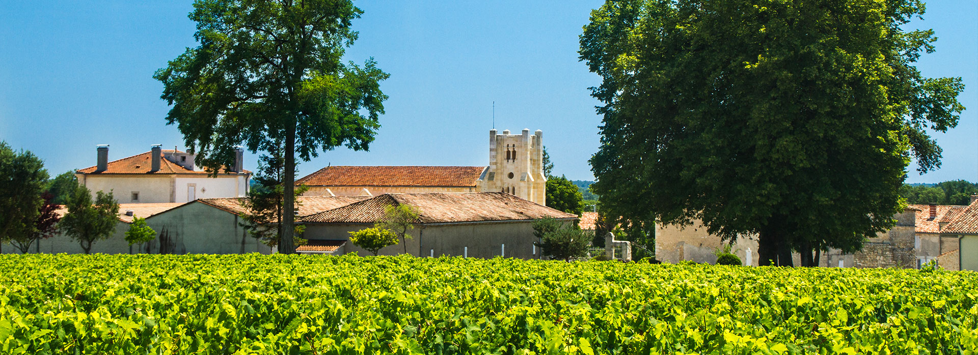 Château Potensac